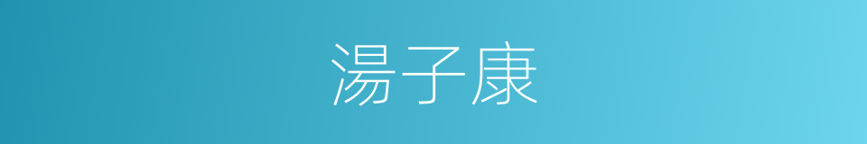 湯子康的同義詞