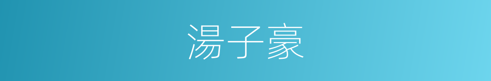 湯子豪的同義詞