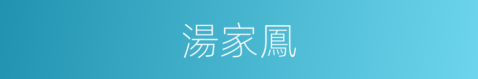 湯家鳳的同義詞