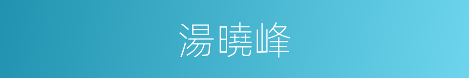 湯曉峰的同義詞