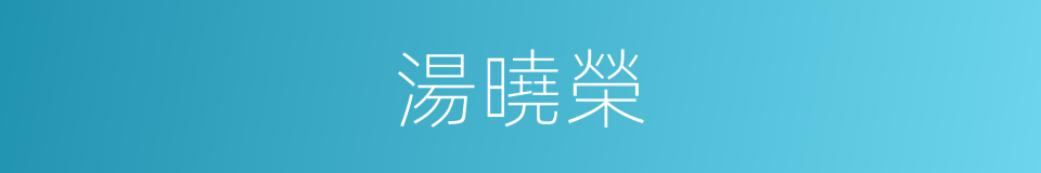 湯曉榮的同義詞