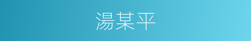 湯某平的同義詞