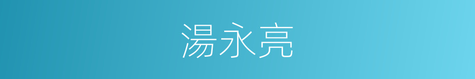 湯永亮的同義詞
