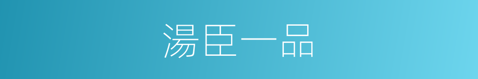 湯臣一品的同義詞