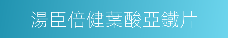湯臣倍健葉酸亞鐵片的同義詞
