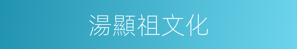 湯顯祖文化的同義詞