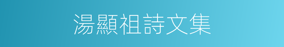 湯顯祖詩文集的同義詞