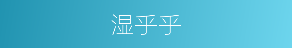 湿乎乎的意思