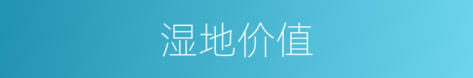 湿地价值的同义词