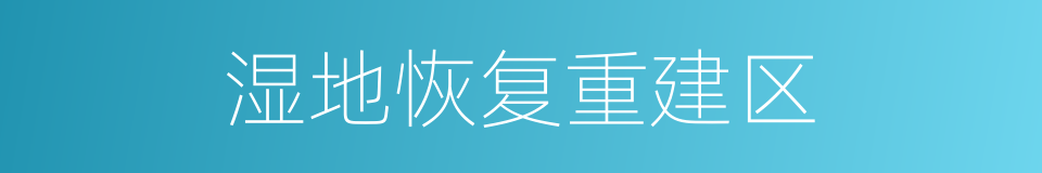 湿地恢复重建区的同义词