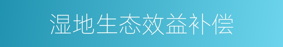 湿地生态效益补偿的同义词