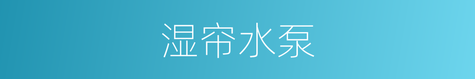 湿帘水泵的同义词