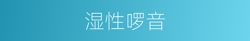 湿性啰音的同义词