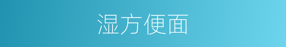 湿方便面的同义词