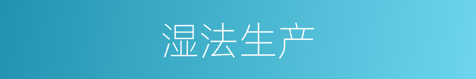 湿法生产的同义词