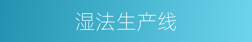 湿法生产线的同义词