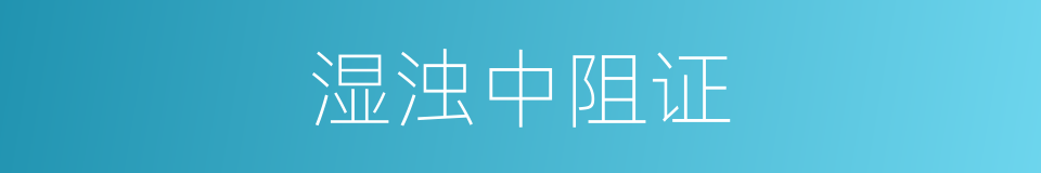 湿浊中阻证的同义词