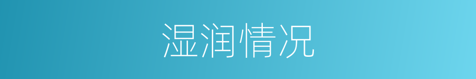 湿润情况的同义词