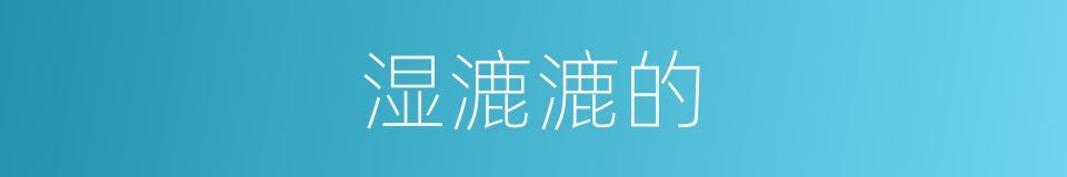 湿漉漉的的同义词