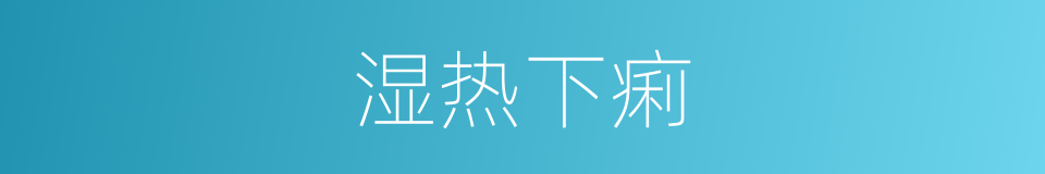 湿热下痢的同义词