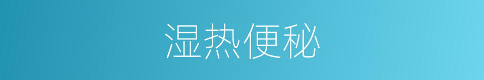 湿热便秘的同义词