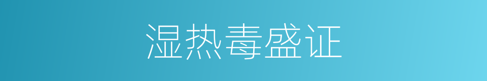 湿热毒盛证的同义词