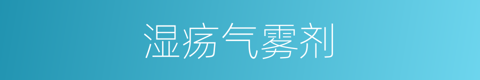 湿疡气雾剂的同义词