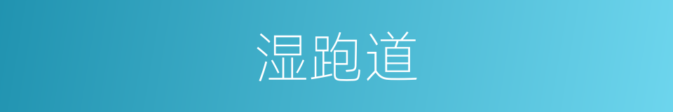 湿跑道的同义词