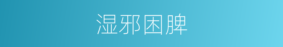 湿邪困脾的同义词