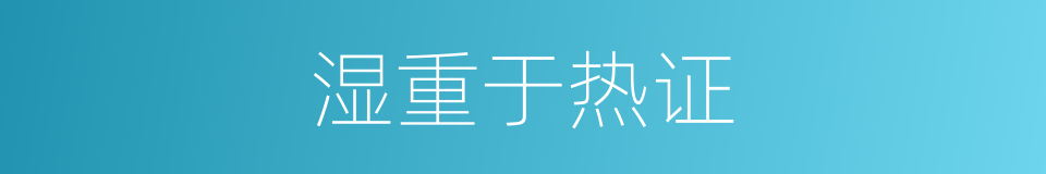 湿重于热证的同义词