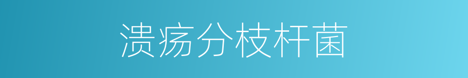 溃疡分枝杆菌的同义词
