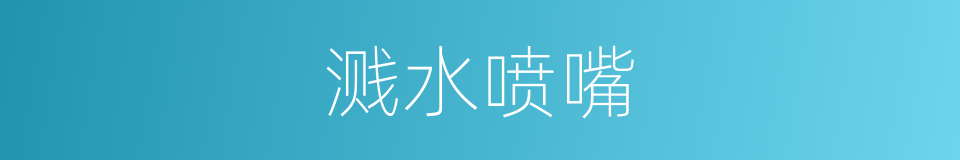 溅水喷嘴的同义词