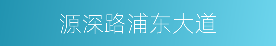 源深路浦东大道的同义词