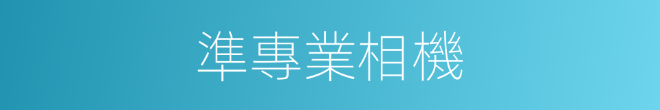 準專業相機的同義詞