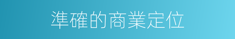 準確的商業定位的同義詞