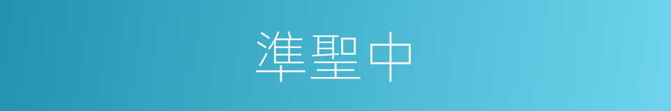 準聖中的同義詞