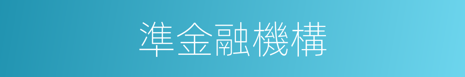 準金融機構的同義詞