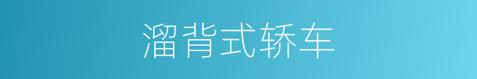 溜背式轿车的同义词