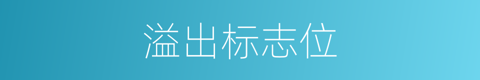 溢出标志位的同义词