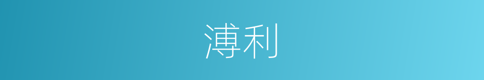 溥利的意思