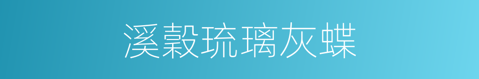 溪穀琉璃灰蝶的同義詞