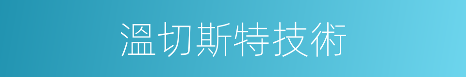 溫切斯特技術的同義詞