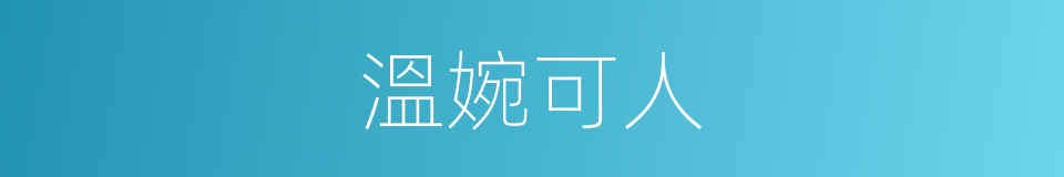 溫婉可人的意思