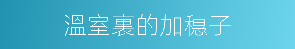 溫室裏的加穗子的同義詞