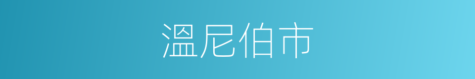 溫尼伯市的同義詞