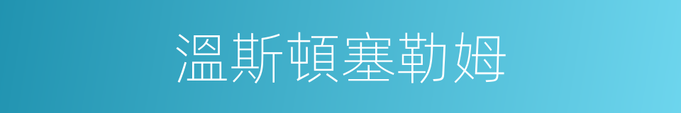 溫斯頓塞勒姆的同義詞