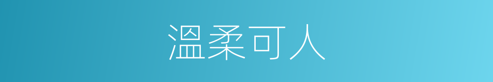 溫柔可人的意思