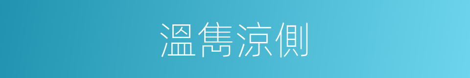 溫雋涼側的同義詞