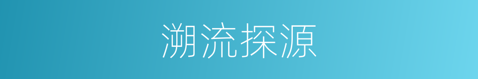 溯流探源的同义词