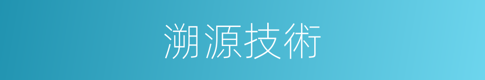 溯源技術的同義詞